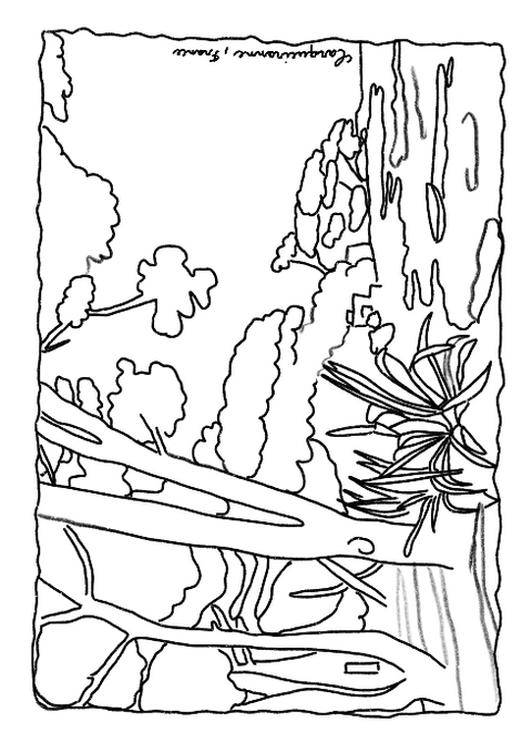 Cahier de coloriage