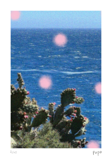 A l'ombre des cactus